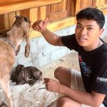 ANAK MUDA BETERNAK ???